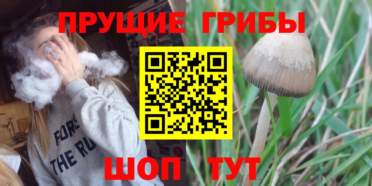 Галлюциногенные грибы Cubensis  Вход с VPN  Назарово 